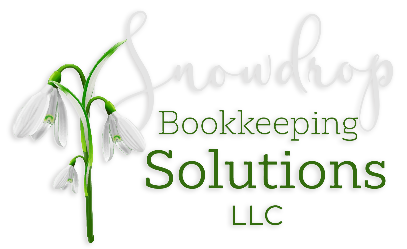 Snowdrop Bookkeeping Solutions LLC